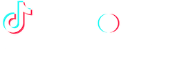 TikTok Marketing Partners